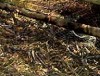 Haarscharf an der Katastrophe vorbei