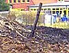 Umsichtiges Handeln hat schlimmeres verhindert...